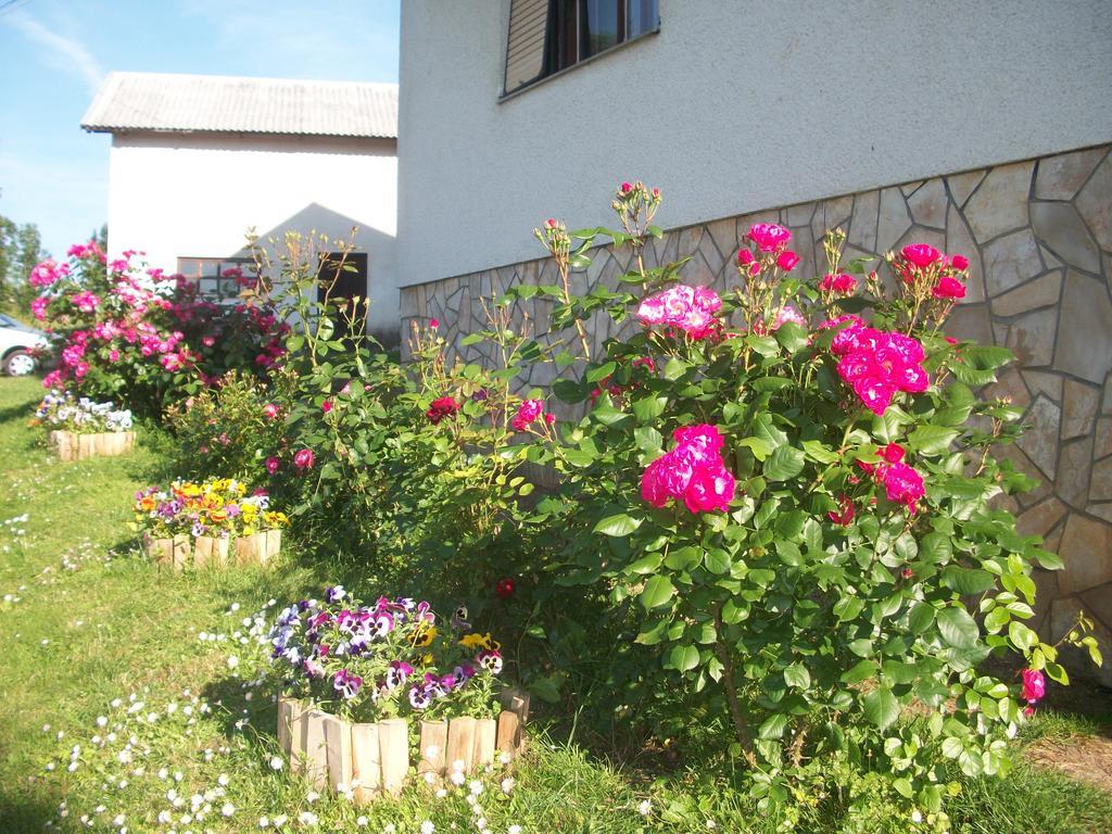 Вилла House Veljko Vrhovine Экстерьер фото